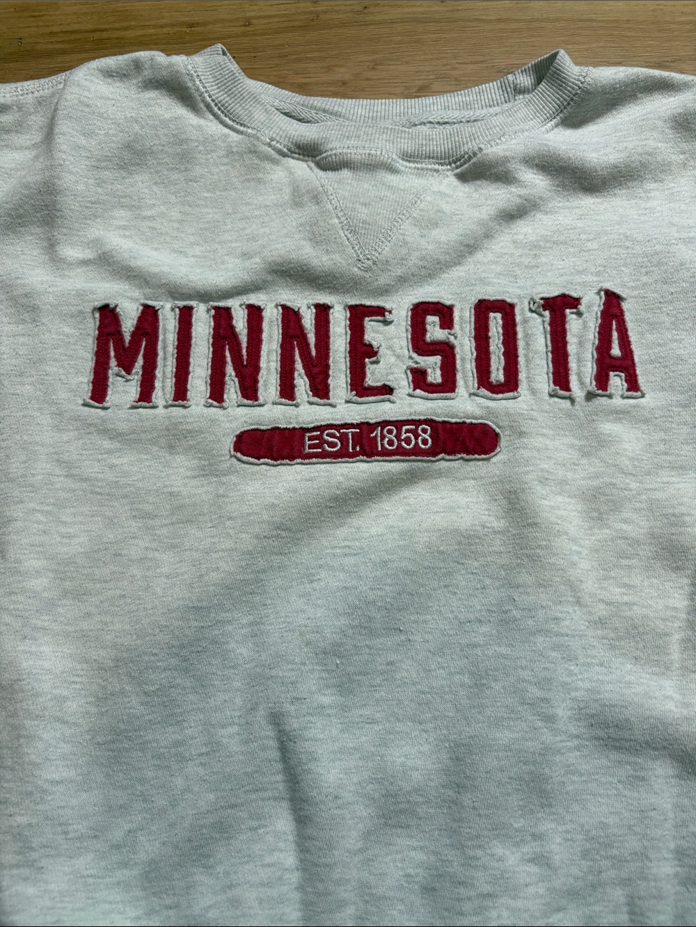 Signature Minnesota Crewneck Sweatshirt in Light Gray with Red Lettering - Picture 2 of 16